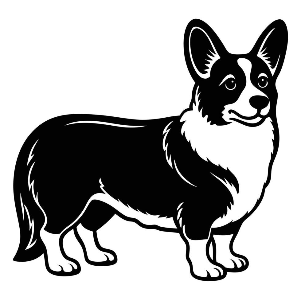 A black and white dog standing on a white background vector