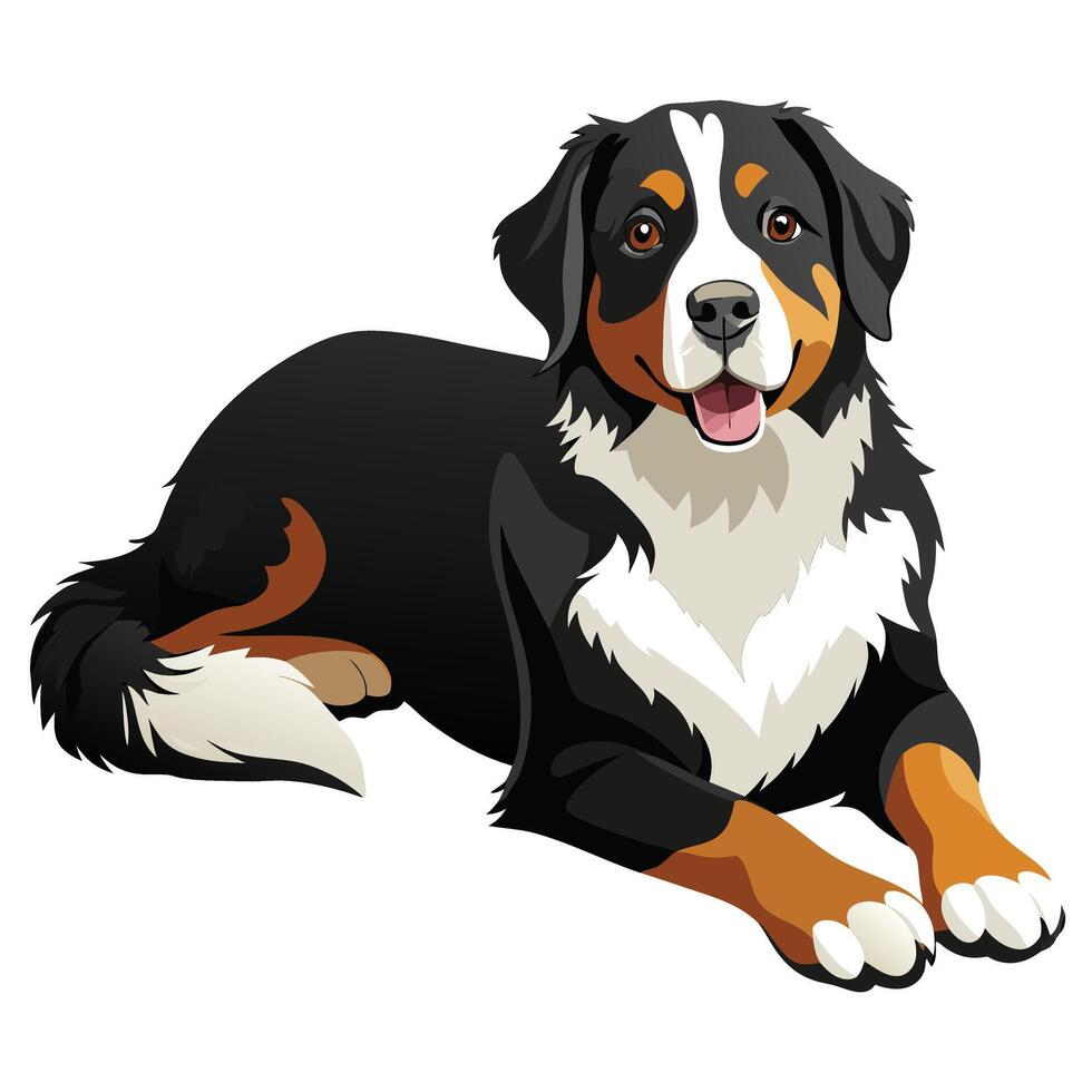 A bernese dog is sitting down vector