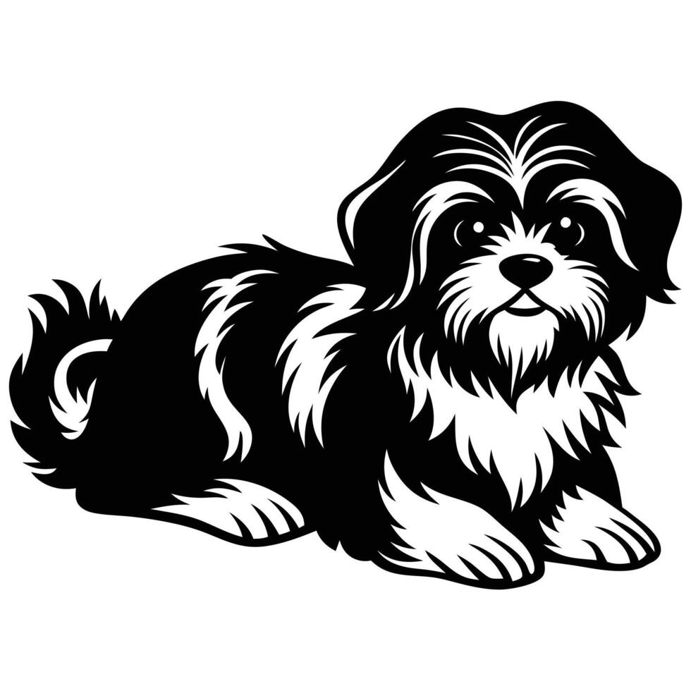 Shih tzu dog vector