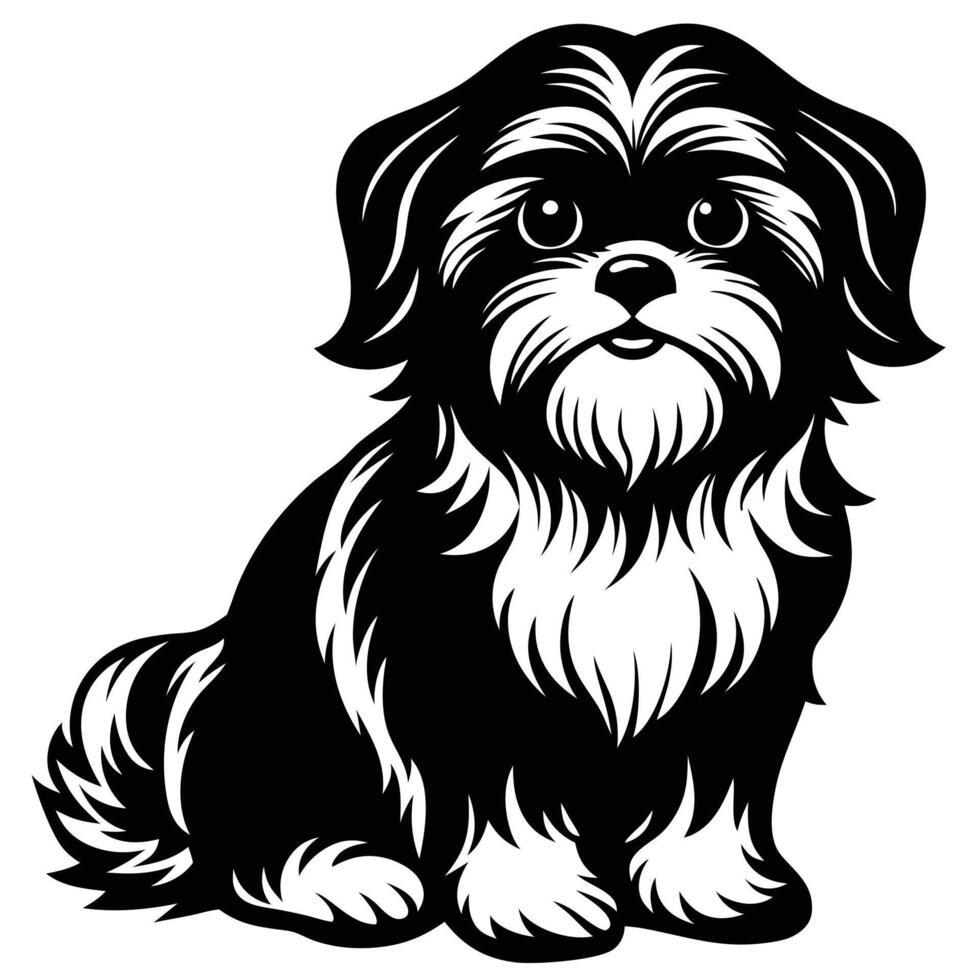 Shih tzu dog vector