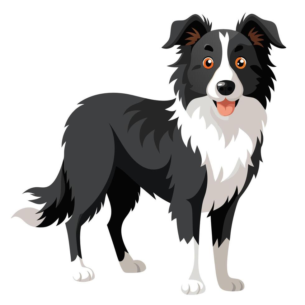 A cartoon border collie dog standing on a white background vector