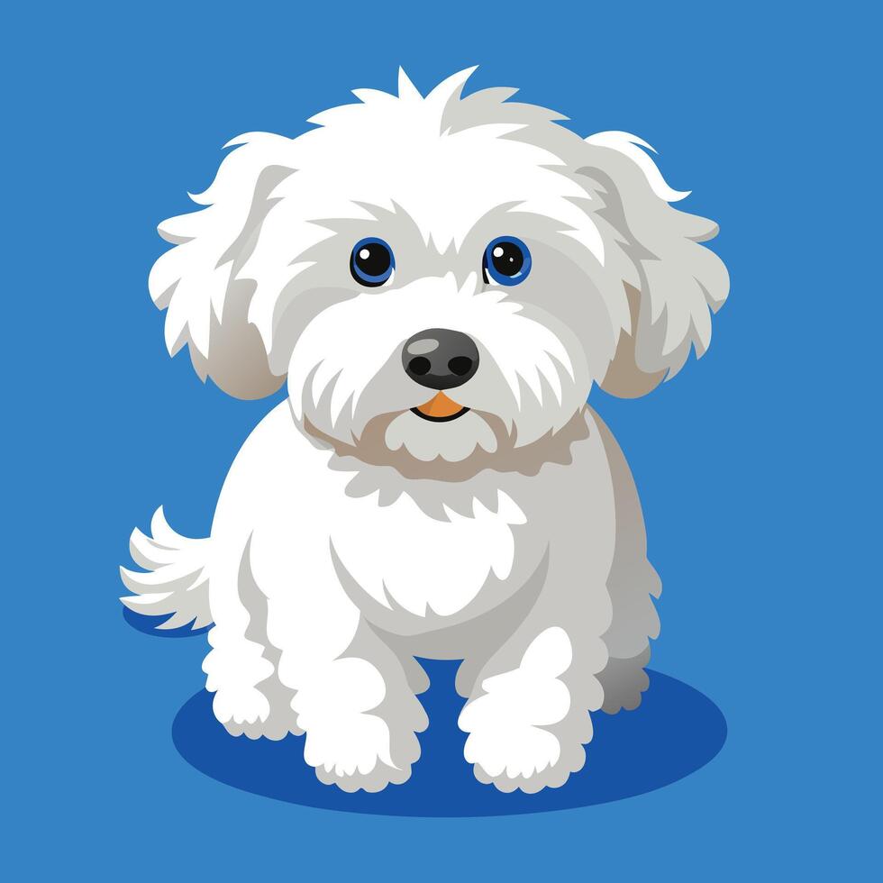 A white dog with blue eyes on a blue background vector