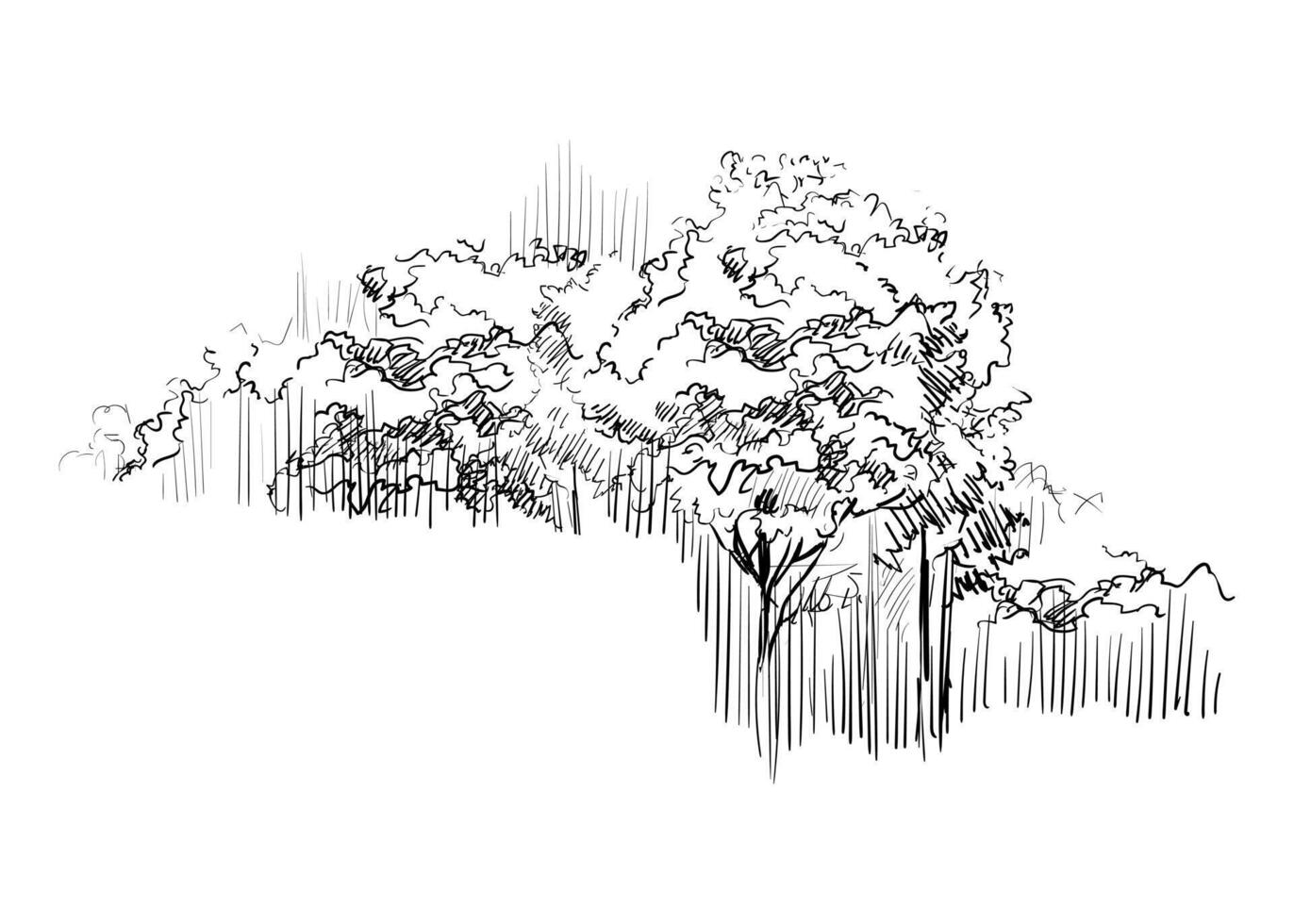 Hand drawing landscape forest with trees illustration vector