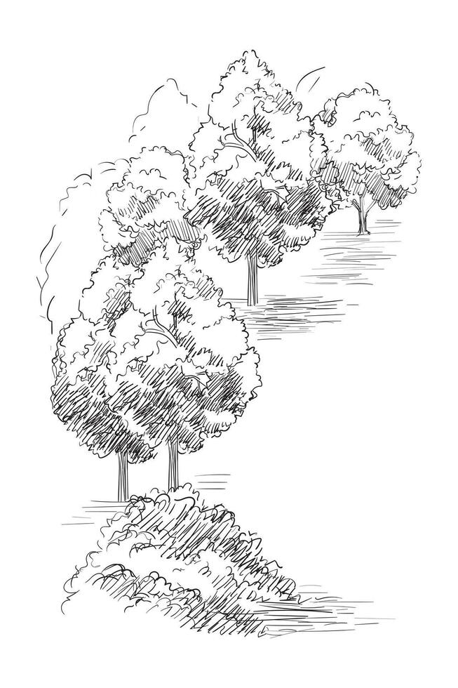 Hand drawing landscape grove illustration vector