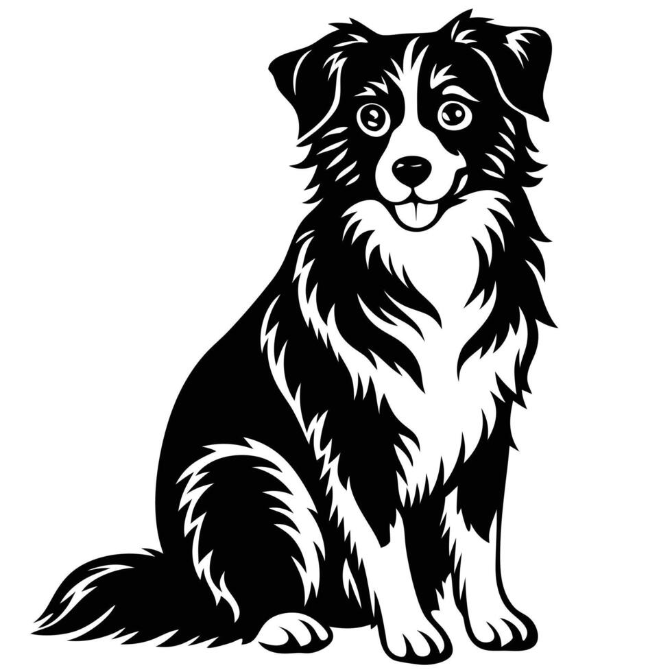 Border collie dog illustration vector