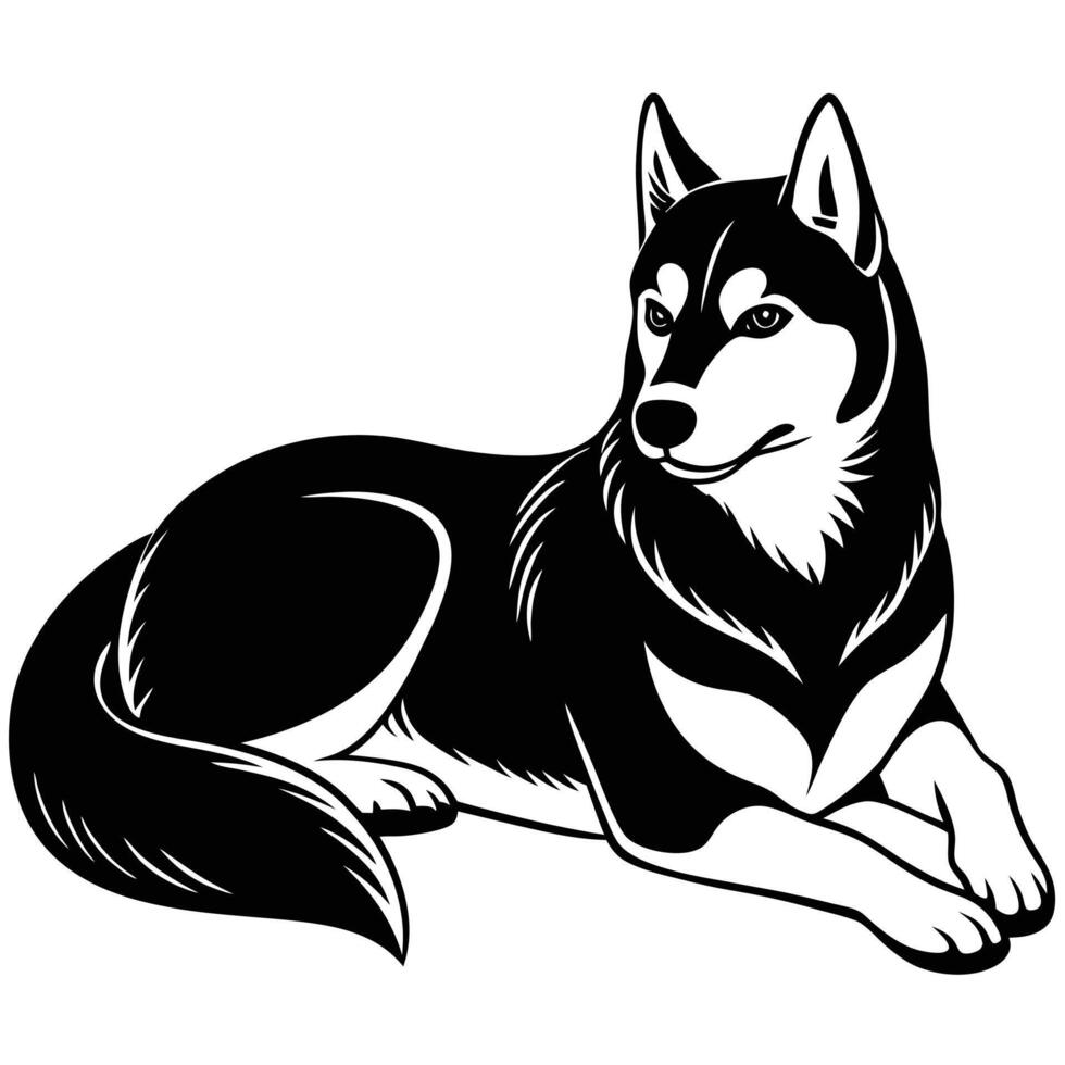 Siberian husky dog illustration vector