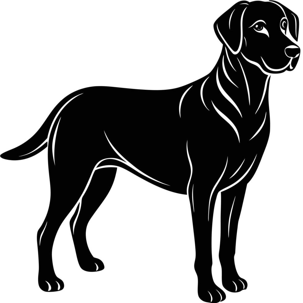 Black labrador dog silhouette on white background vector