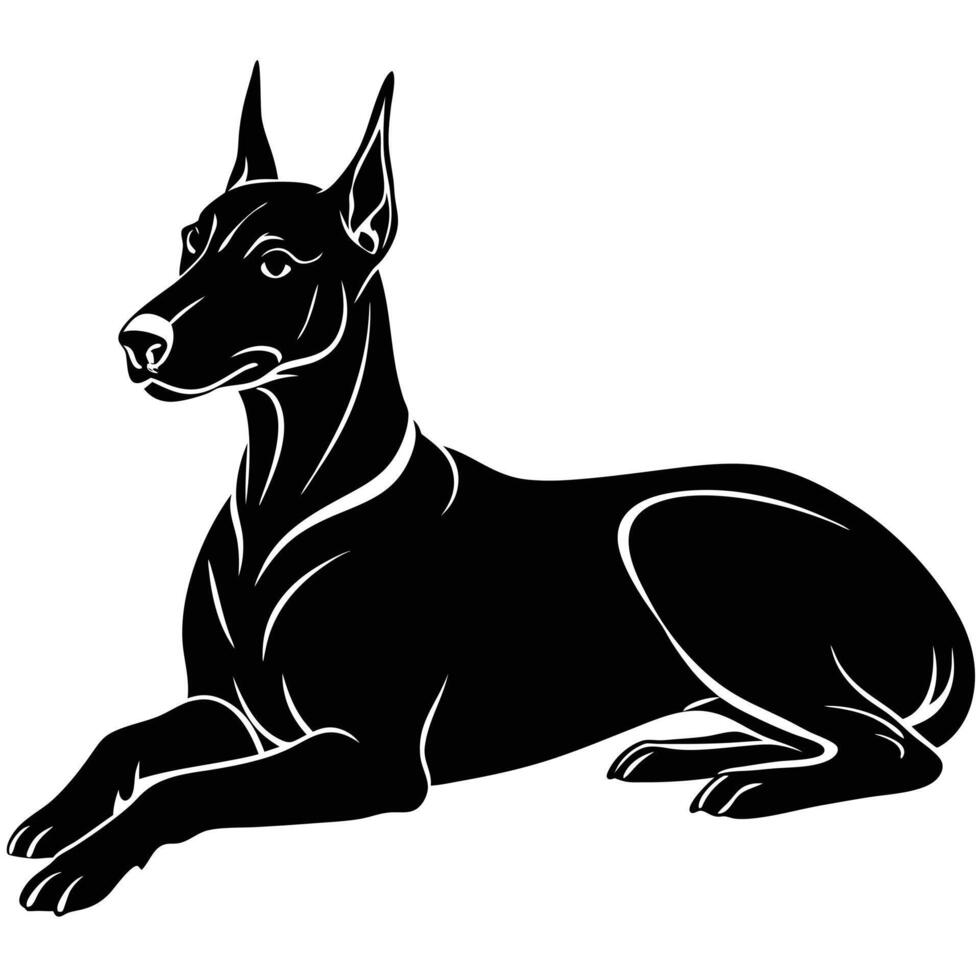 A black and white doberman dog sitting down vector