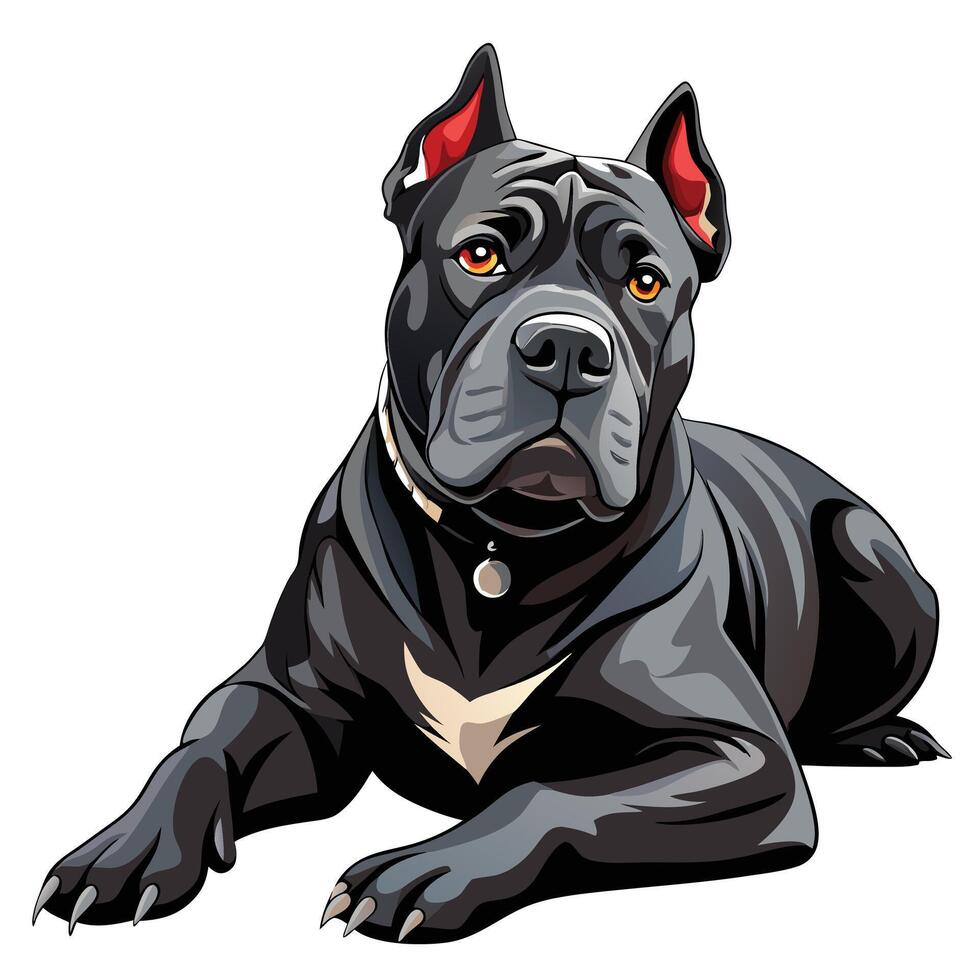 A black pit bull dog is sitting down vector