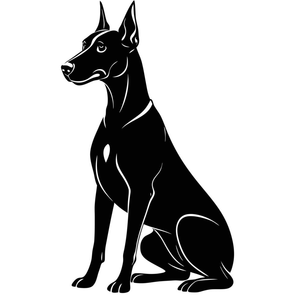 A black and white doberman dog sitting on a white background vector