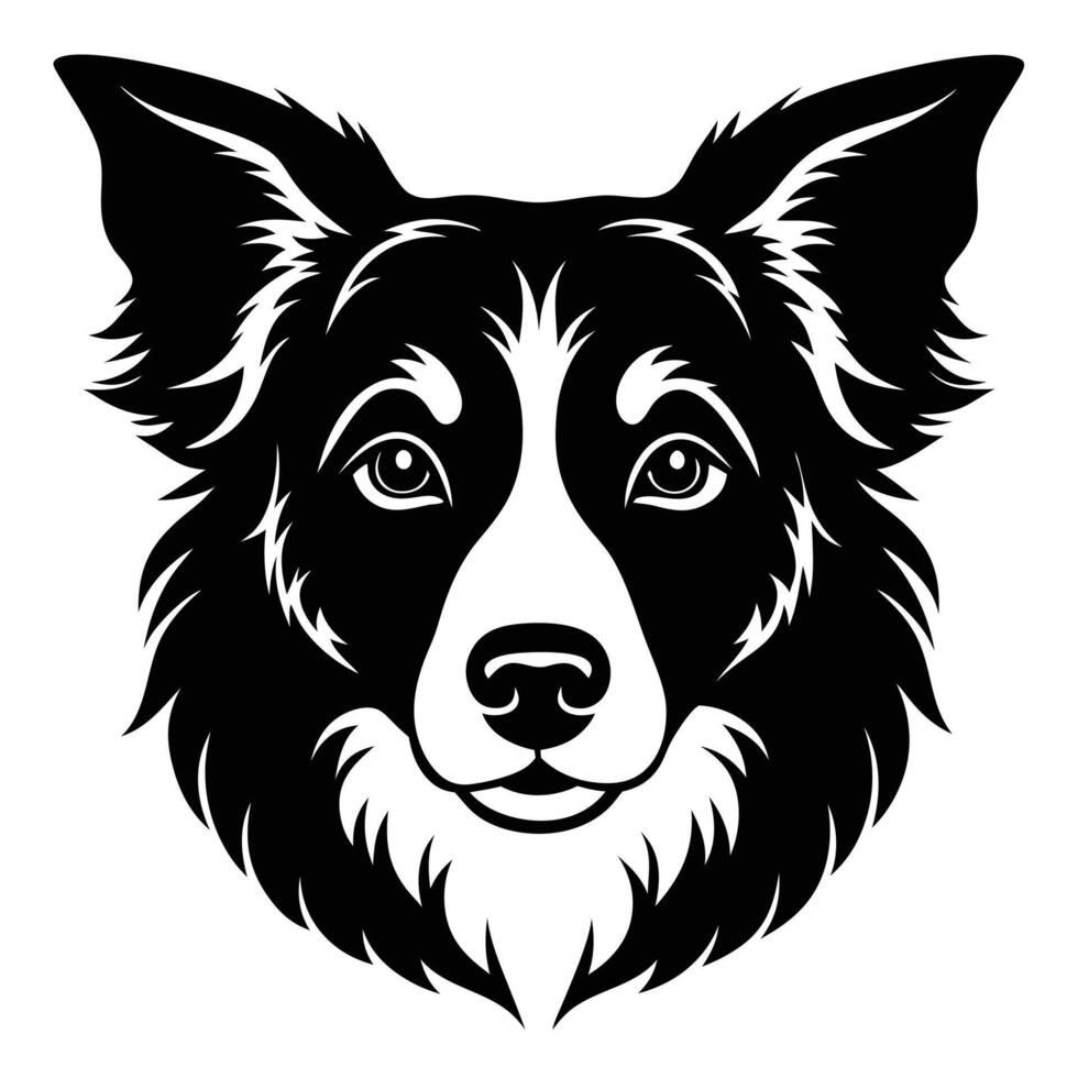 A black and white border collie dog head vector