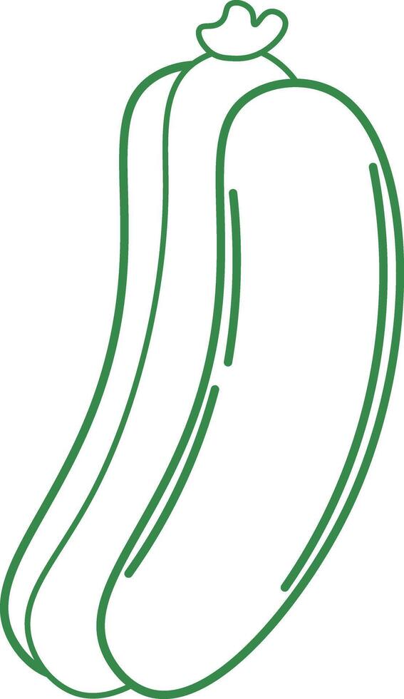 Illustration of a Zucchini Vegetable vector