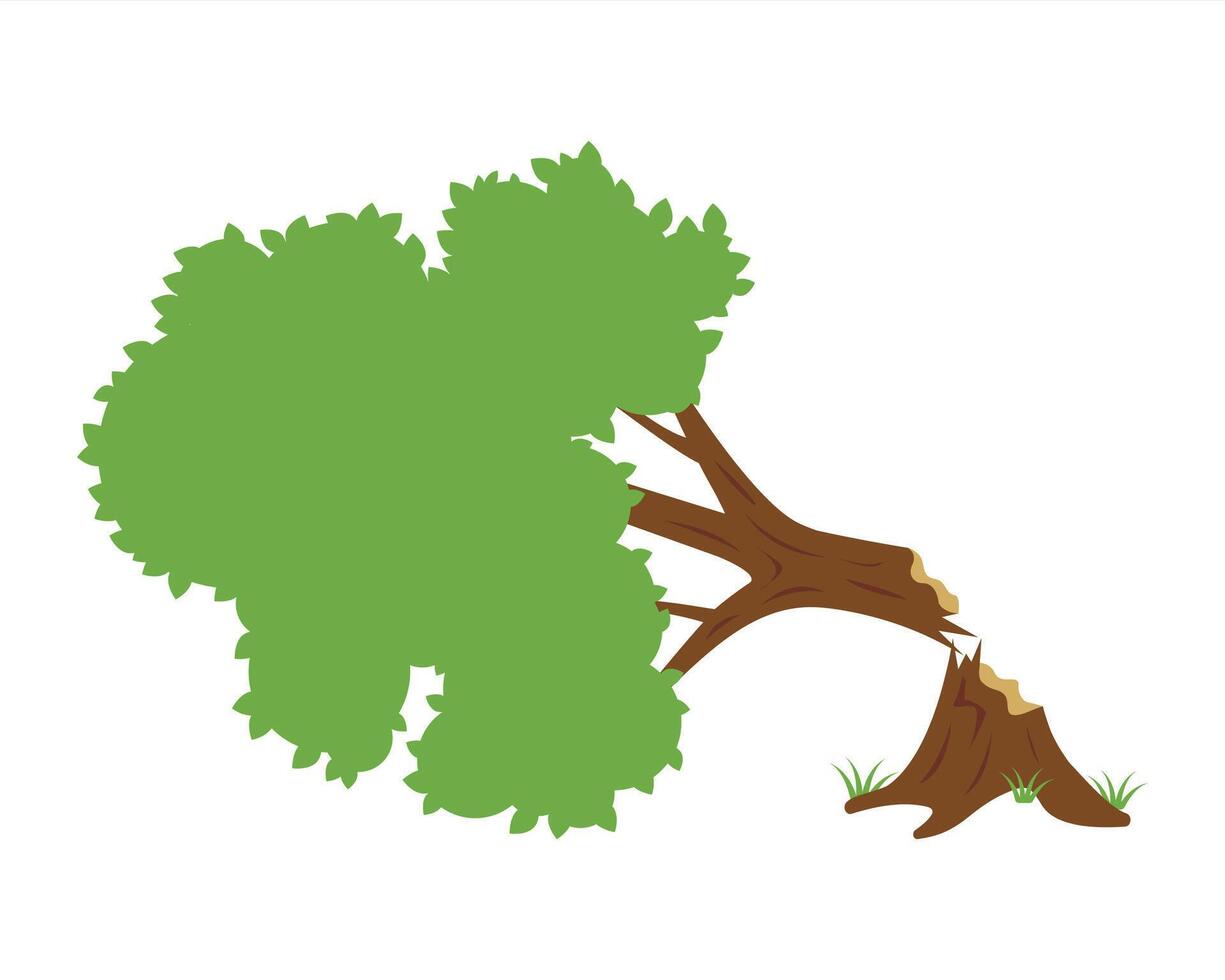 broken tree fell from strong wind. vector