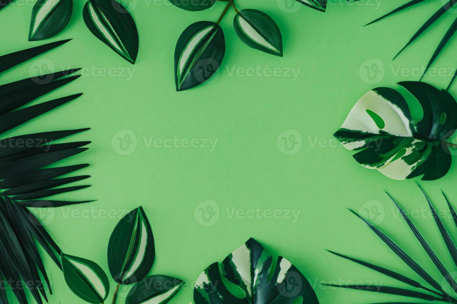 Colorful tropical leaves on pastel green background. Minimal summer exotic concept with copy space. Creative nature layout. Border arrangement. Top view banner. photo
