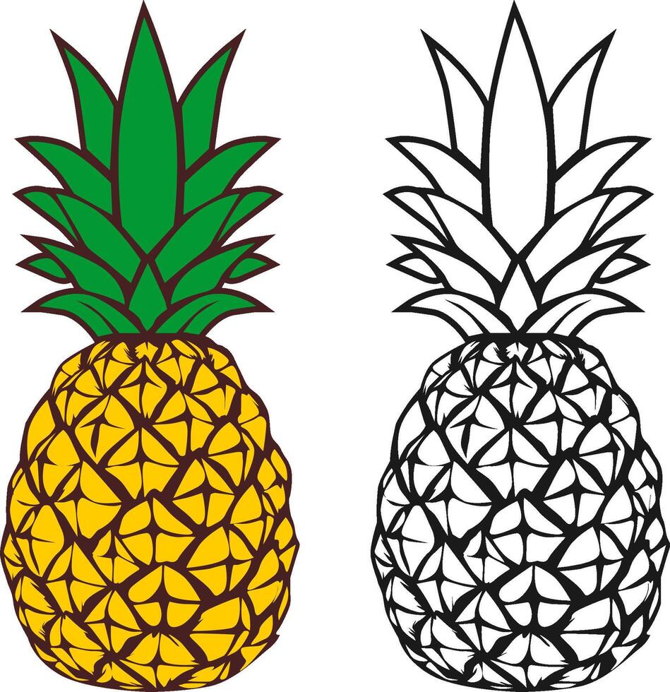 Colored pineapple and a black and white outline of the same pineapple. vector
