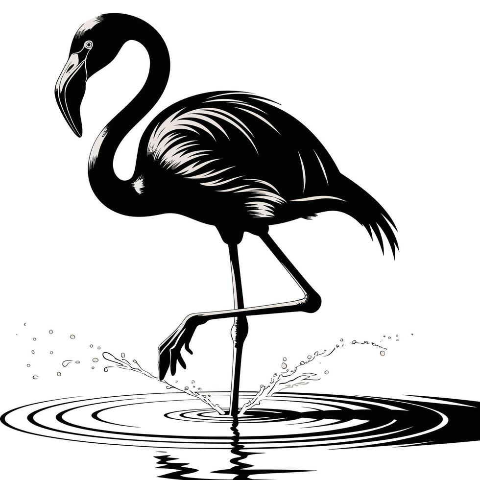 Flamingo black and white silhouette illustration vector