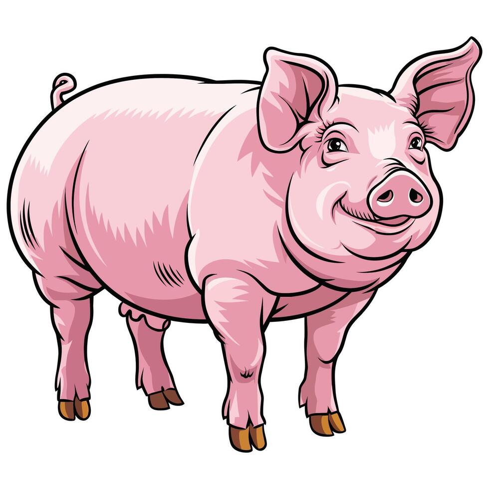 Farm Pig Standing on White Background. vector
