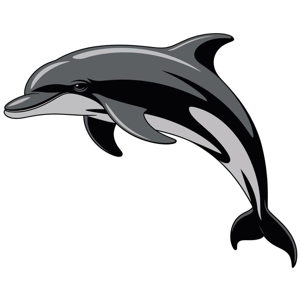 Crisp, Professional Dolphin Artwork with Solid Shades. vector