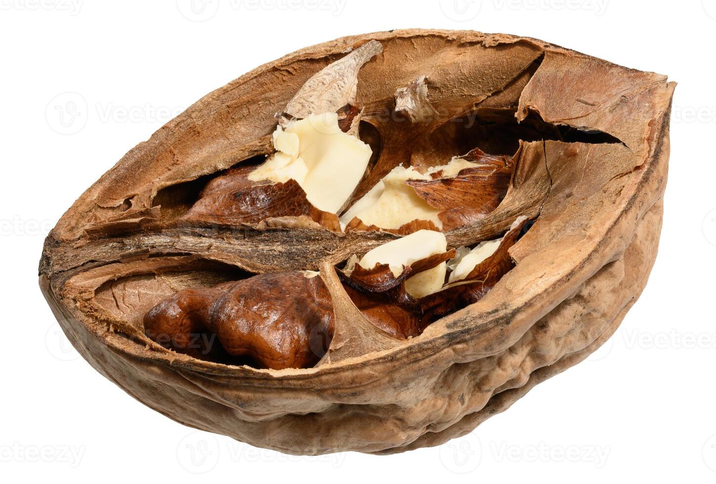 Half of walnut with fruits on isolated background photo