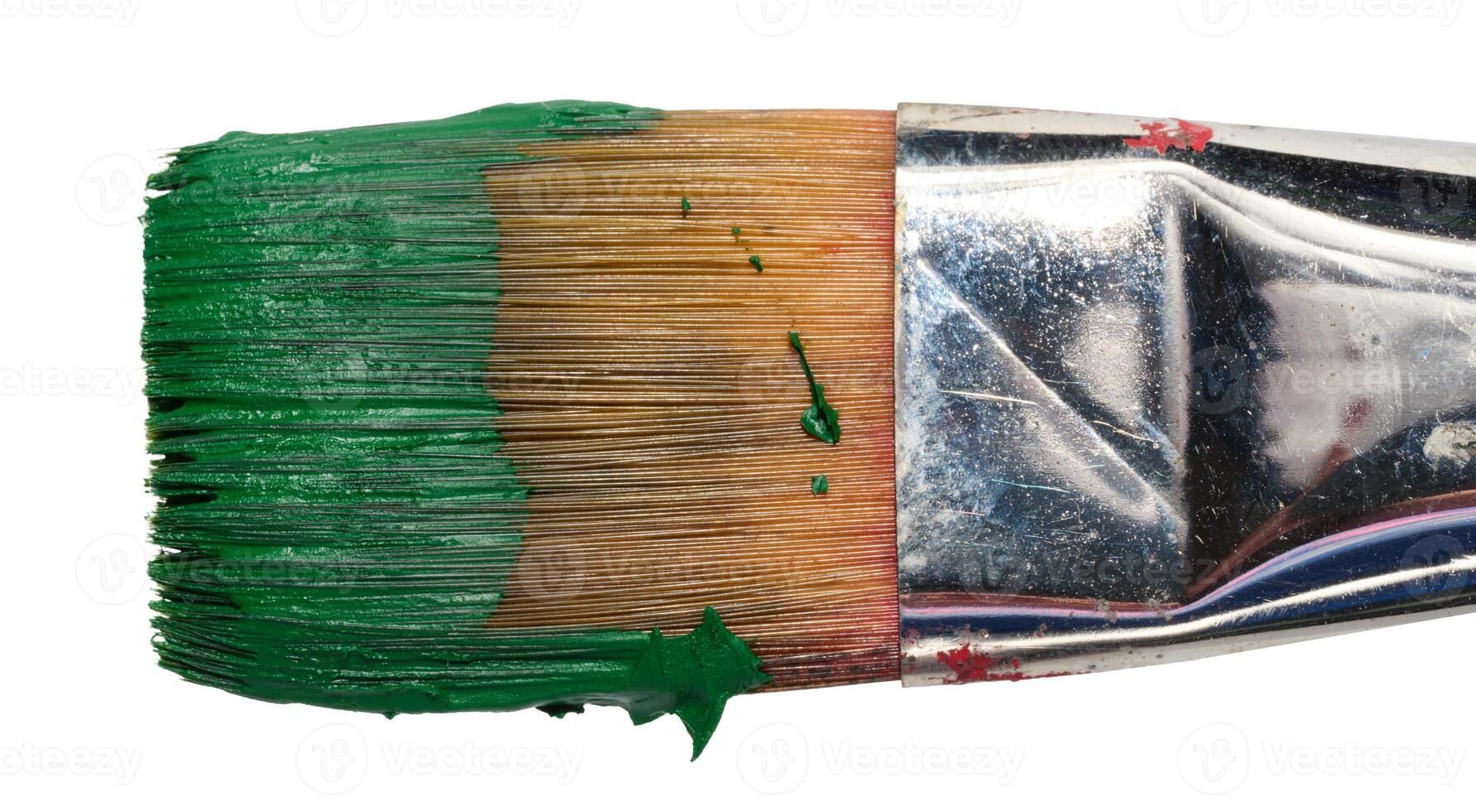 Brush with green oil paint on isolated background, bristles photo