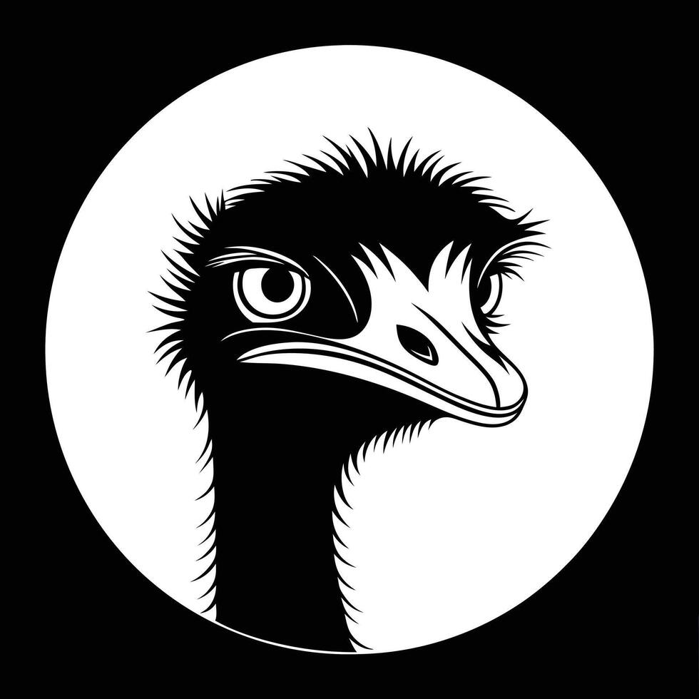 ostrich head isolated on white vector