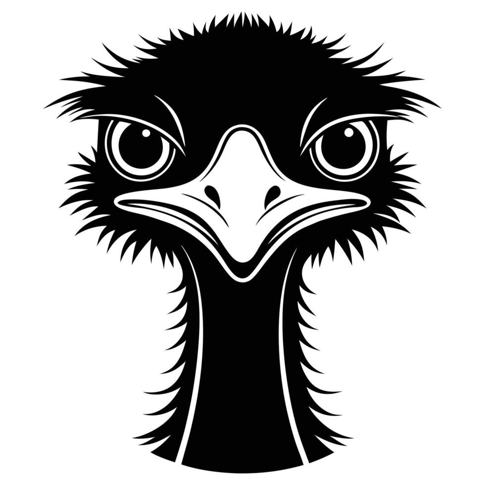 ostrich head and face vector