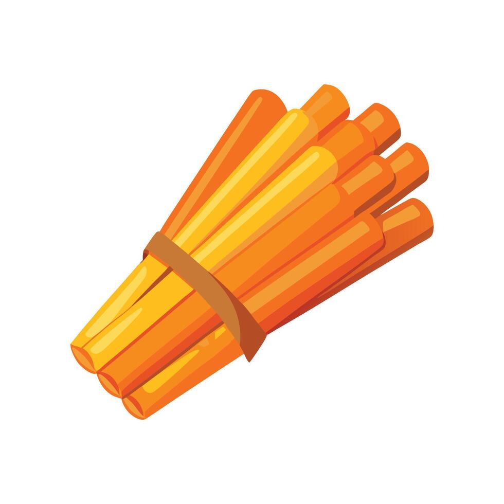Delicious Boiled Carrot Sticks vector