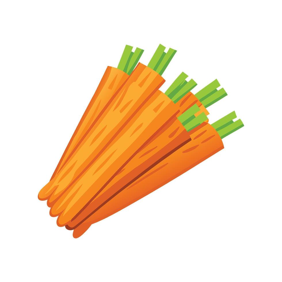 Creative Boiled Carrot Sticks vector
