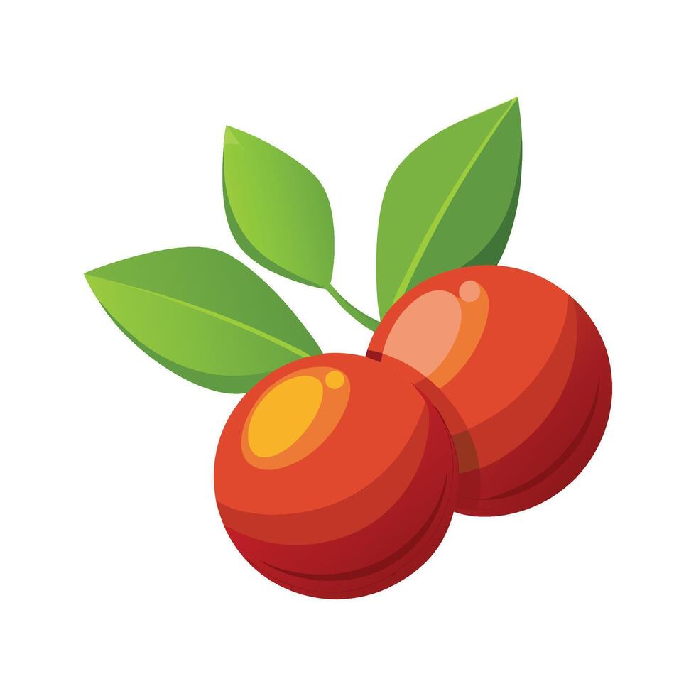 Creamy Camu Camu Berry Mash vector