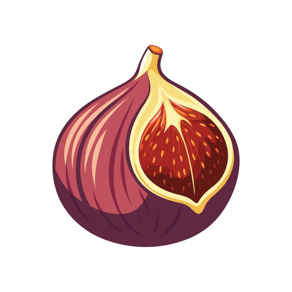 Nutritious Fig Mash Delight vector