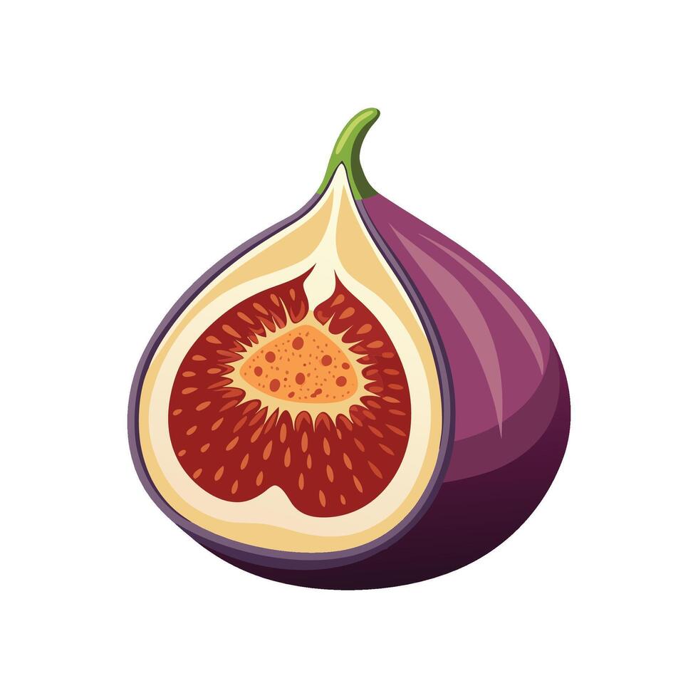Delicious Fig Mash Recipe vector