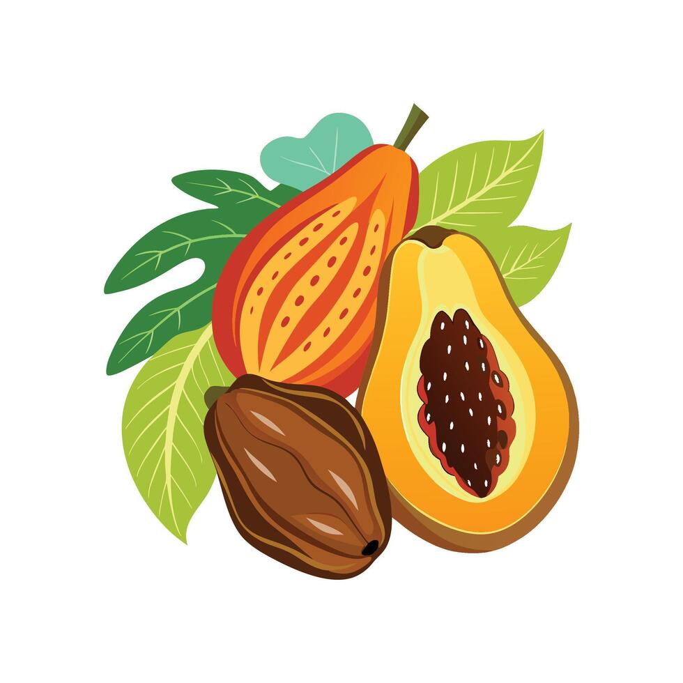 Sweet Papaya and Date Mash vector