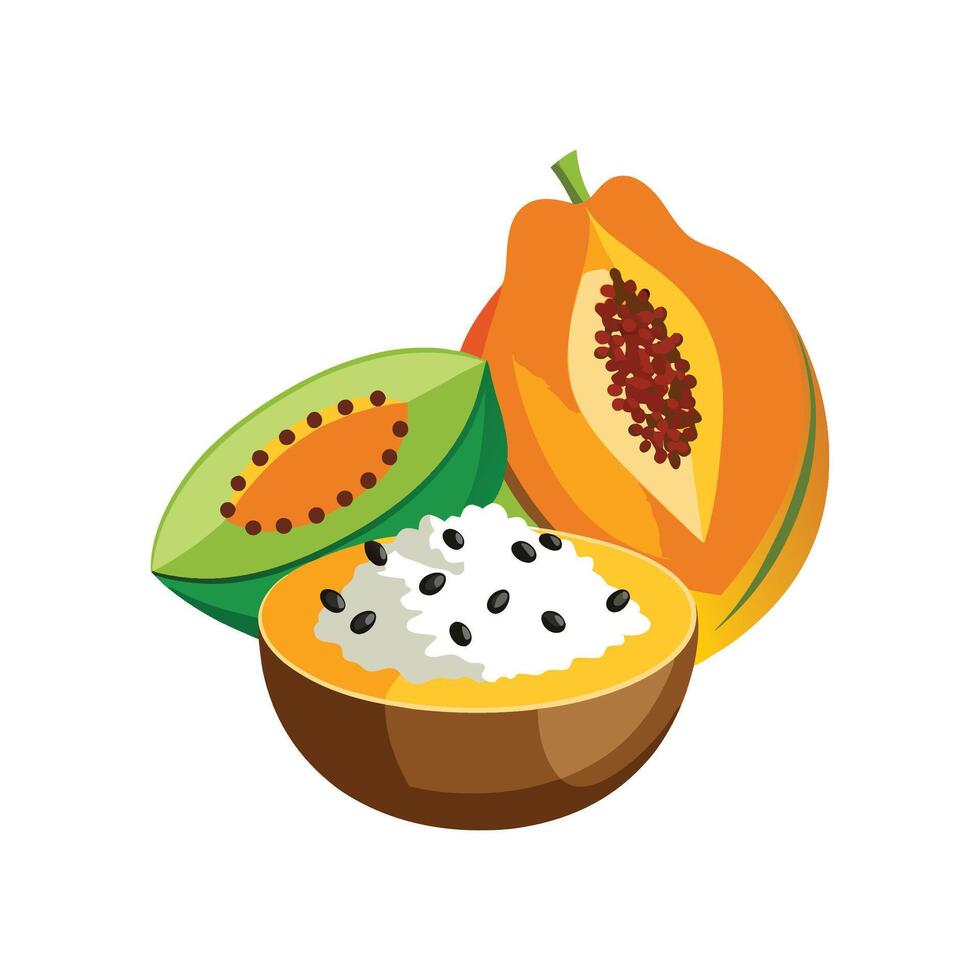 Flavorful Papaya Rice Pudding vector