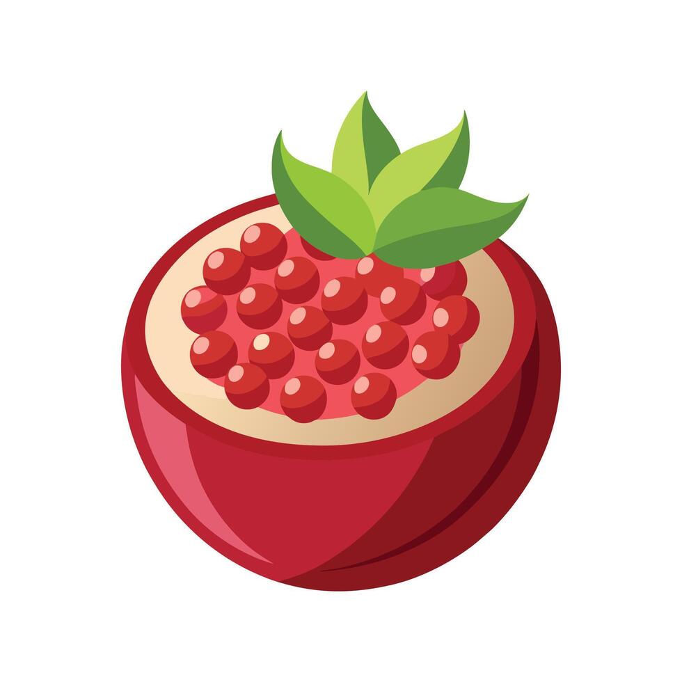 Nutritious Pomegranate Puree Recipe vector