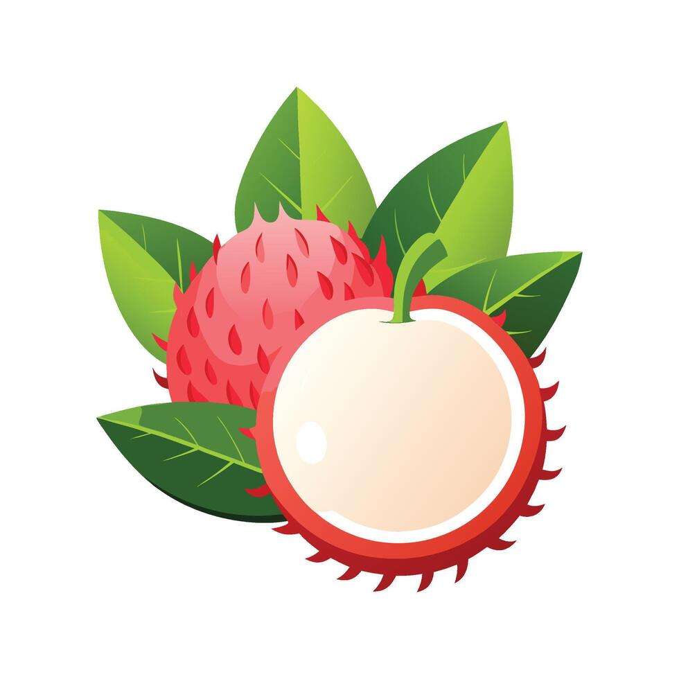 Nutritious Rambutan Mash Recipe vector