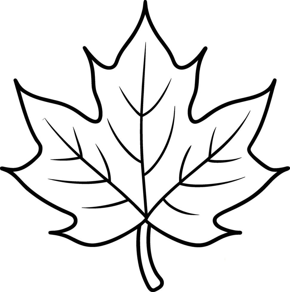 Hand-Drawn Maple Leaf Outline Illustration vector