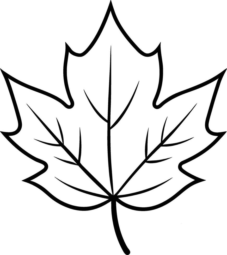 Minimalist Maple Leaf Outline Illustration vector