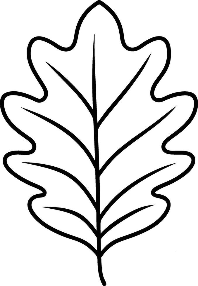 Oak Leaf Line Art - Simple Botanical vector