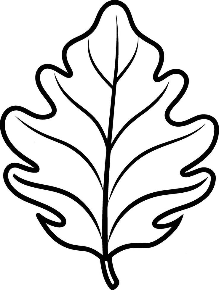 Simple Hand-Drawn Oak Leaf Outline - Botanical vector