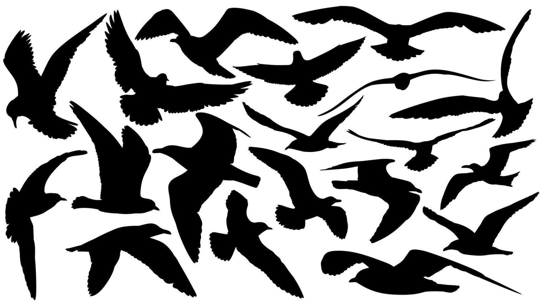 Silhouettes of sea seagulls. vector