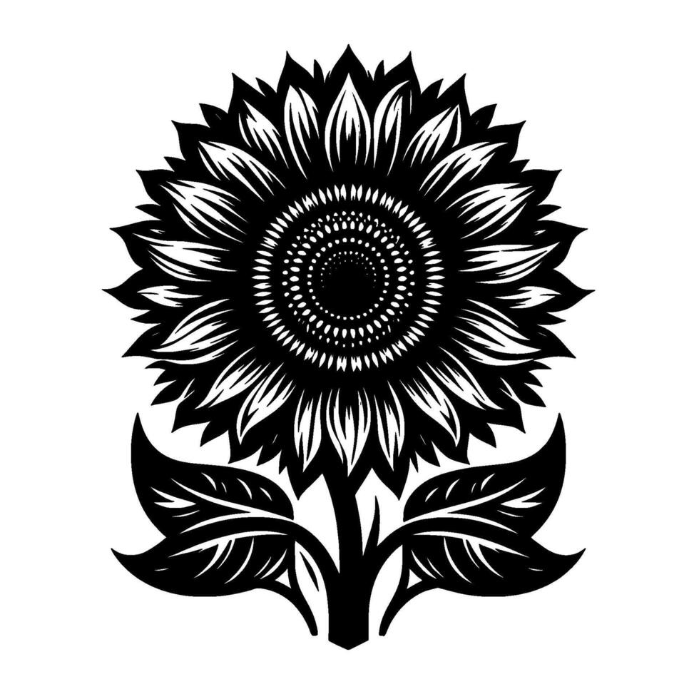 Bold Black and White Illustration of a Sunflower with Intricate Petals and a Central Seed Head on a White Backdrop vector