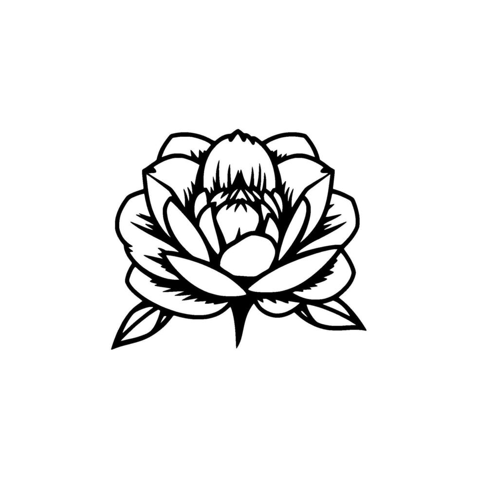 Black White Lotus Flower Illustration, Detailed Petals, Minimalist on White Backdrop, Nature Artwork. vector