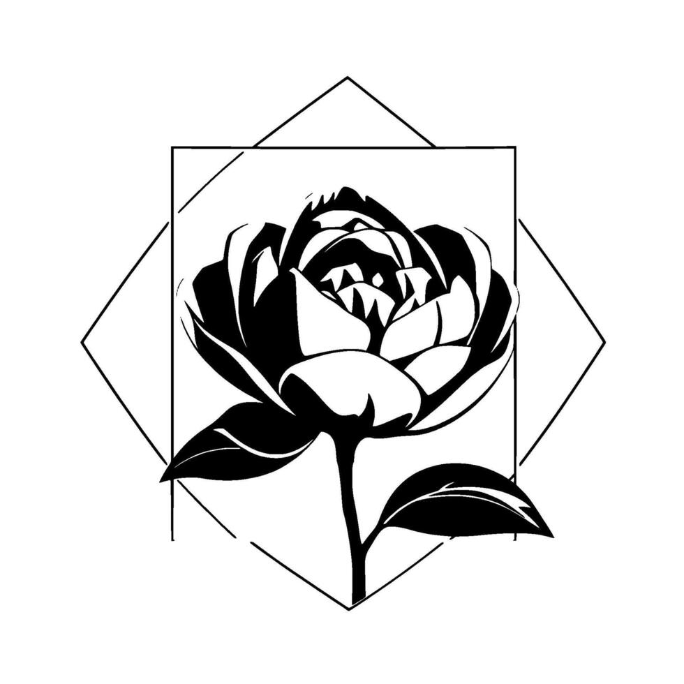 Illustration of a Peony Flower in Black and White, Enclosed in a Geometric Square and Diamond Frame on a White Background. vector