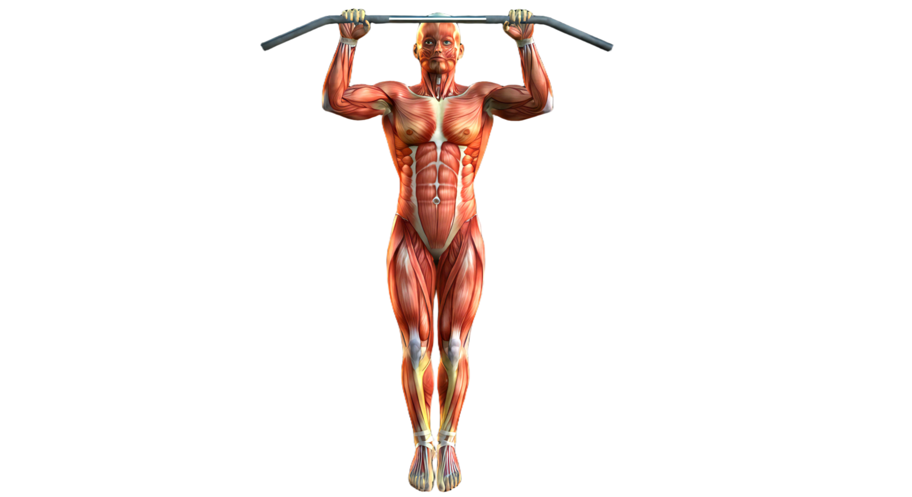 A man is doing pull ups on a bar png