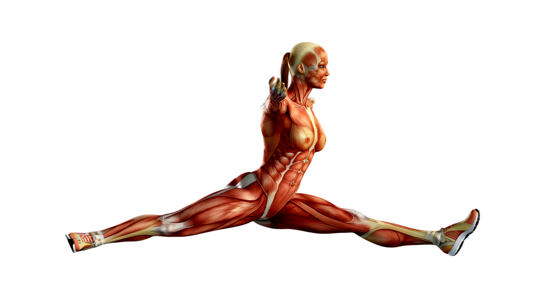 A woman is doing a split pose with her muscles on display png