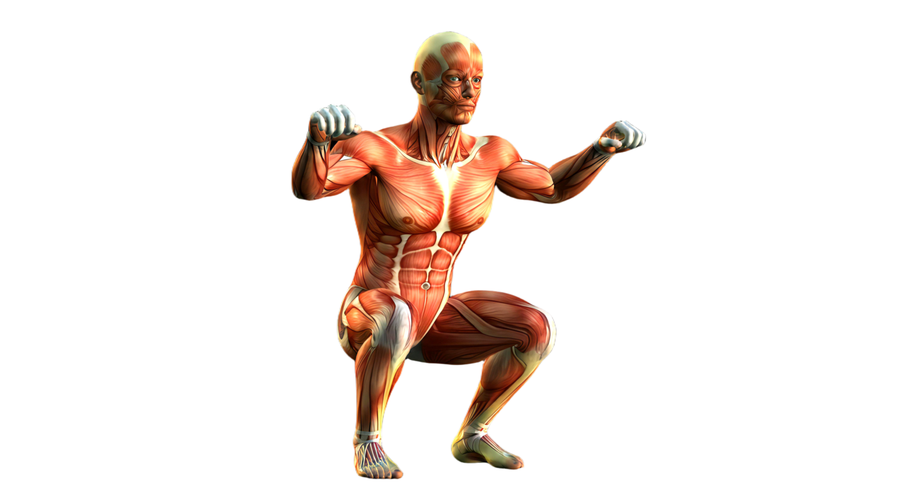 A man is doing a squat with his arms out png
