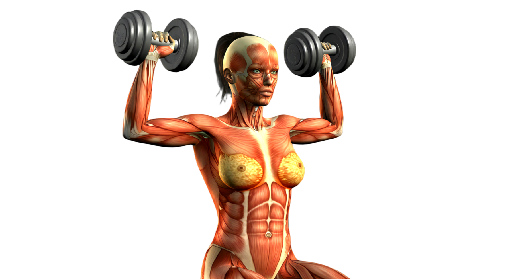 A woman with muscles is lifting weights png
