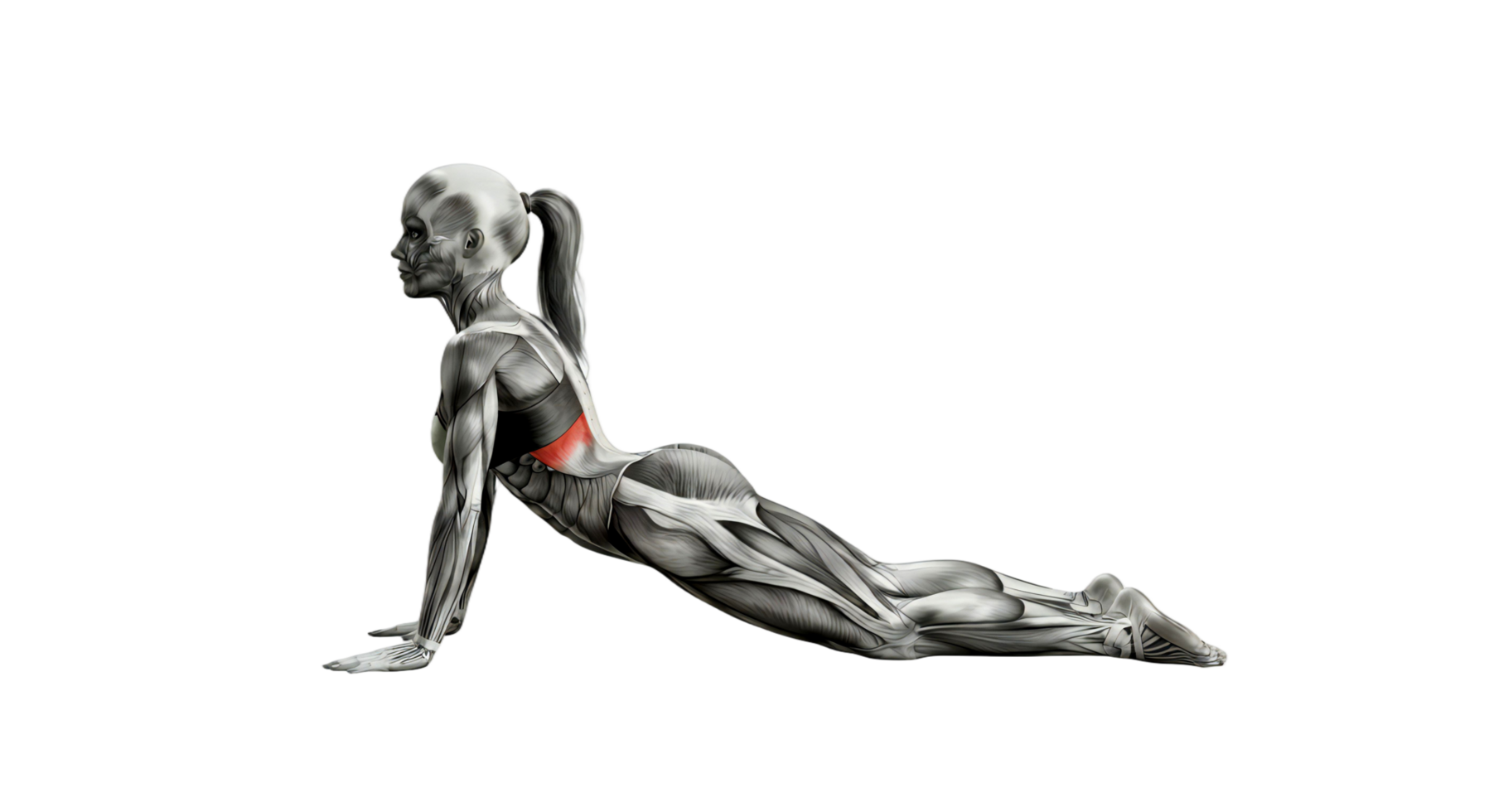 A man is doing a push up on a black background png