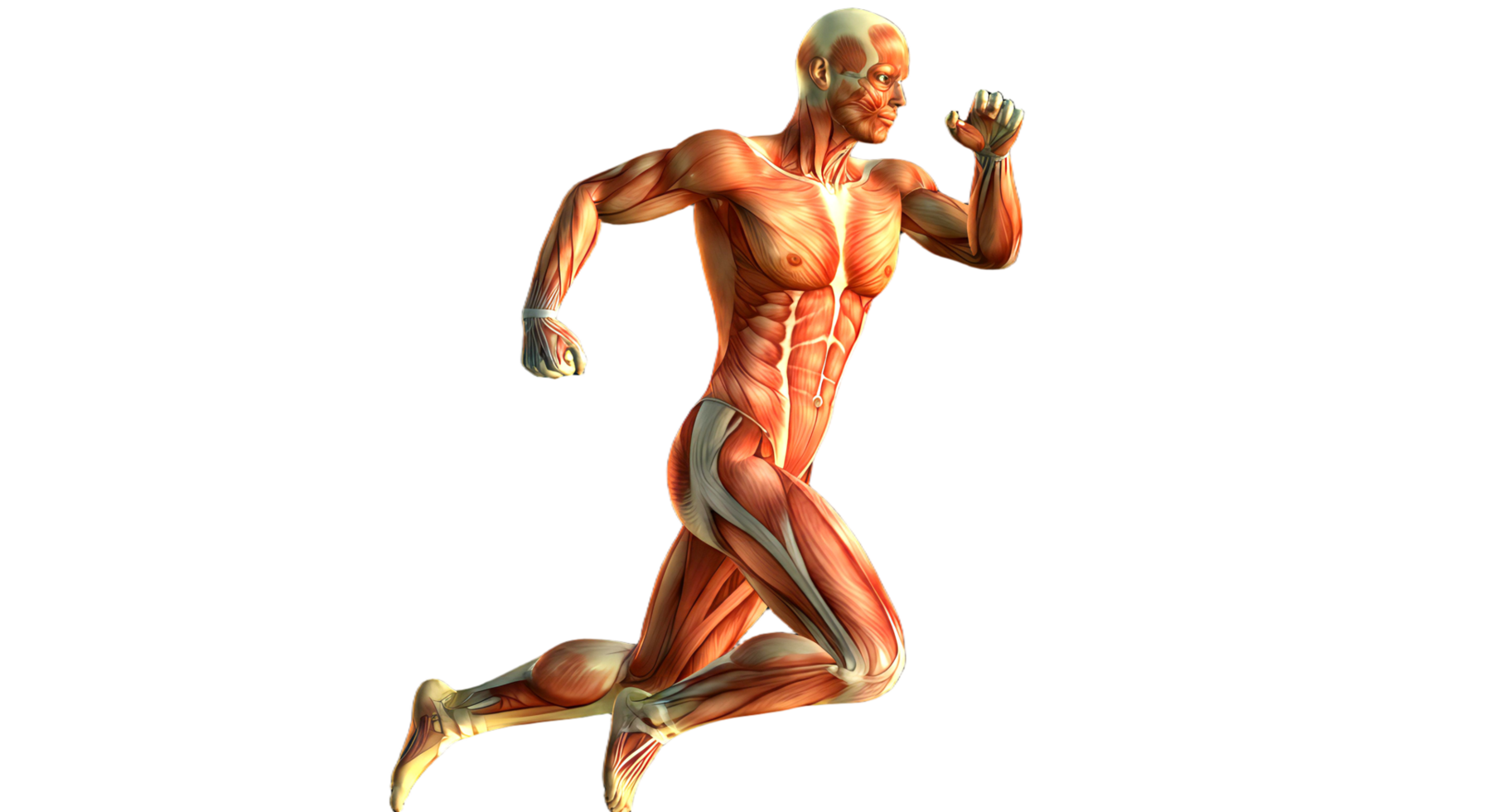 A man with muscles running on a black background png