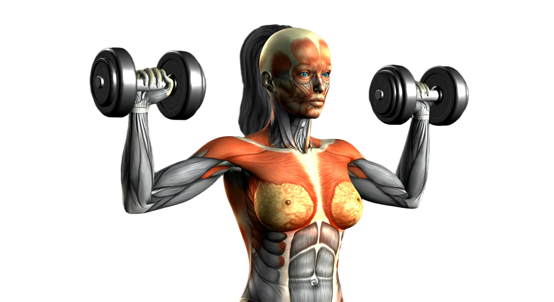 A woman with muscles and a body suit is lifting weights png